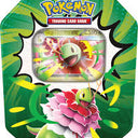 Pokemon ascended heroes ex tins random art